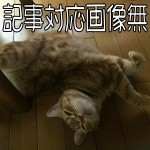 《終了》auの「Hello,New World」が凄いぞ!
