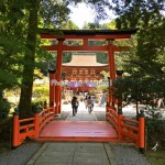 開創1200年!高野山と深い繋がりのある「丹生都比売神社」に行って来ました。