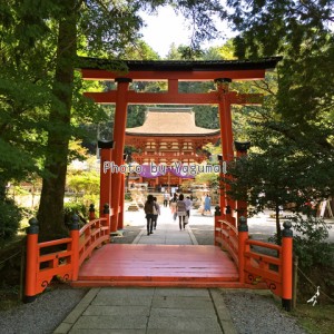 開創1200年！高野山と深い繋がりのある「丹生都比売神社」に行って来ました。